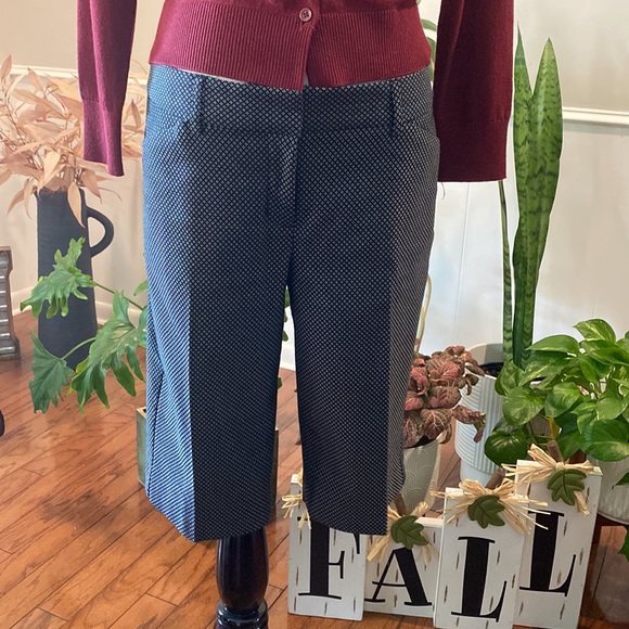 Express shorts - Picture 2 of 6